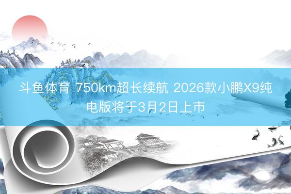 斗鱼体育 750km超长续航 2026款小鹏X9纯电版将于3月2日上市