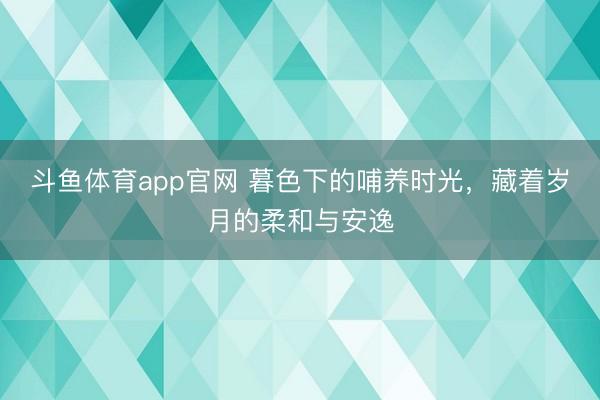 斗鱼体育app官网 暮色下的哺养时光,藏着岁月的柔和与安逸