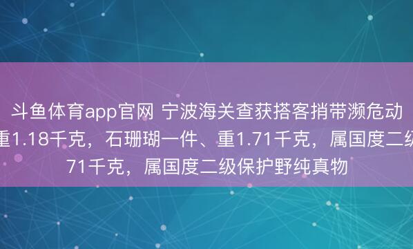 斗鱼体育app官网 宁波海关查获搭客捎带濒危动物砗磲一件、重1.18千克，石珊瑚一件、重1.71千克，属国度二级保护野纯真物