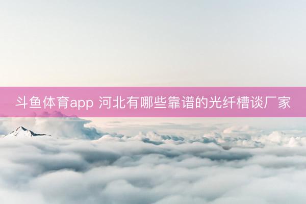 斗鱼体育app 河北有哪些靠谱的光纤槽谈厂家
