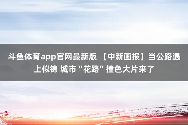 斗鱼体育app官网最新版 【中新画报】当公路遇上似锦 城市“花路”撞色大片来了