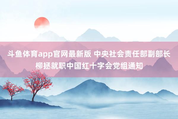 斗鱼体育app官网最新版 中央社会责任部副部长柳拯就职中国红十字会党组通知