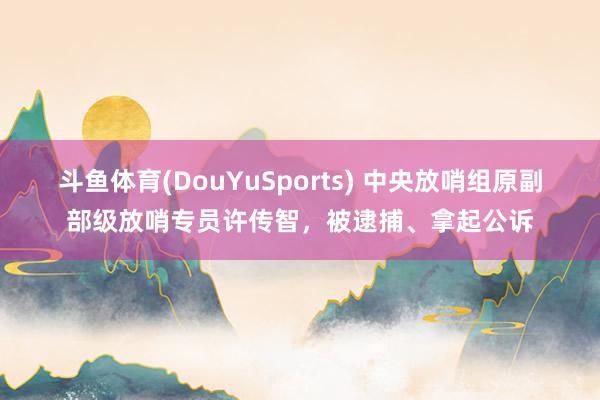 斗鱼体育(DouYuSports) 中央放哨组原副部级放哨专员许传智，被逮捕、拿起公诉
