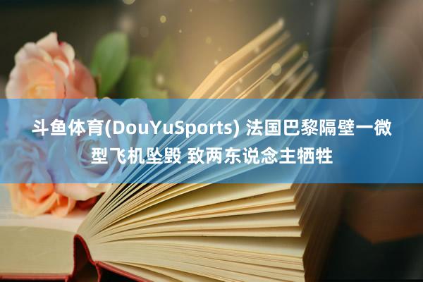 斗鱼体育(DouYuSports) 法国巴黎隔壁一微型飞机坠毁 致两东说念主牺牲