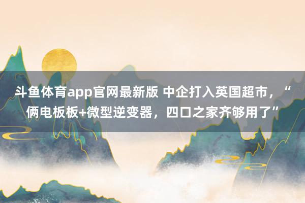 斗鱼体育app官网最新版 中企打入英国超市，“俩电板板+微型逆变器，四口之家齐够用了”