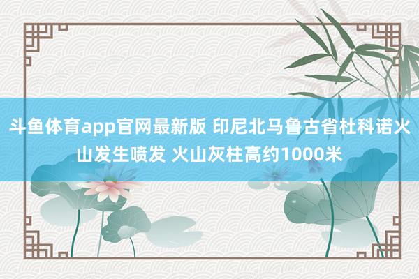 斗鱼体育app官网最新版 印尼北马鲁古省杜科诺火山发生喷发 火山灰柱高约1000米