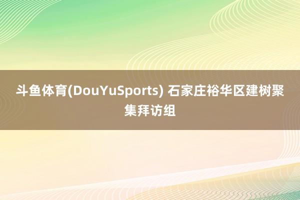 斗鱼体育(DouYuSports) 石家庄裕华区建树聚集拜访组