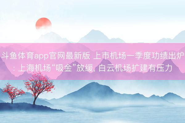 斗鱼体育app官网最新版 上市机场一季度功绩出炉: 上海机场“吸金”放缓， 白云机场扩建有压力