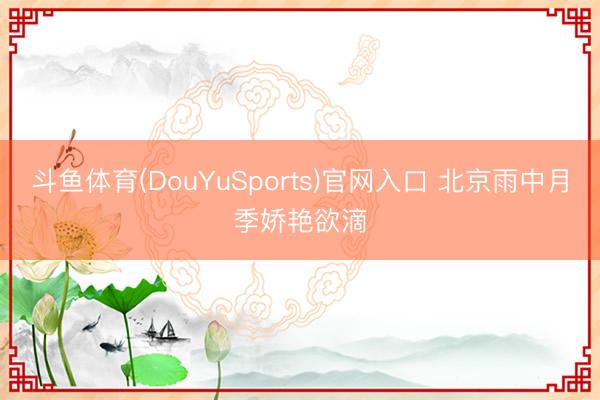 斗鱼体育(DouYuSports)官网入口 北京雨中月季娇艳欲滴