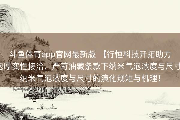 斗鱼体育app官网最新版 【行恒科技开拓助力科研】块体纳米气泡厚实性接洽，严苛油藏条款下纳米气泡浓度与尺寸的演化规矩与机理！
